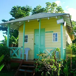 3* Hotel Jamaican Colors